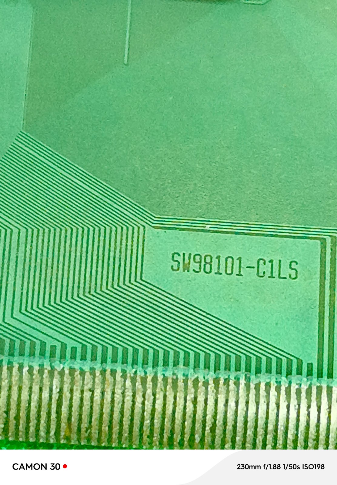 SW98101-C1LS