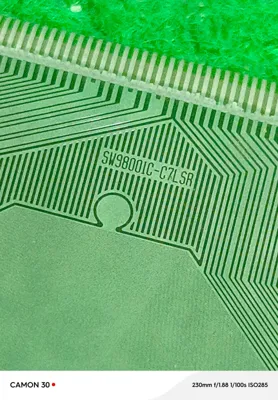 SW97002-C1L