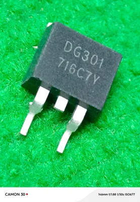 DG301